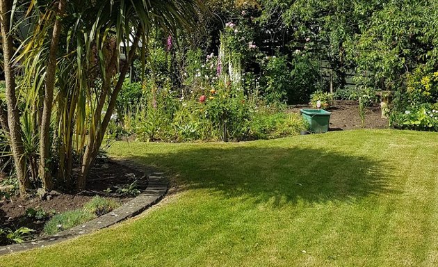 Photo of Wheatleys garden maintenance