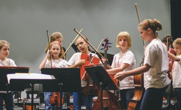 Photo of WSSO (Western Suburbs String Orchestra)