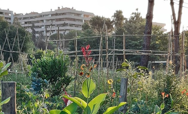 foto Parco Delle Rane