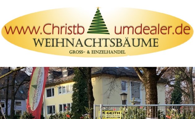 Foto von Christbaumdealer Alt-Bogenhausen Weihnachtsbaumverkauf Filiale Mauerkircherstrasse / Kufsteiner Platz