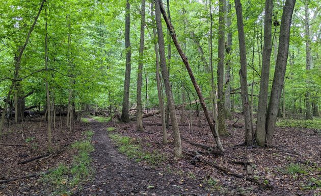 Photo of Latourette Park