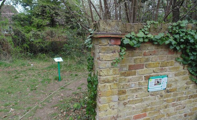 Photo of Devonshire Avenue Nature Area