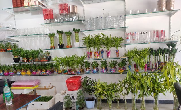 Photo of Tanflorist