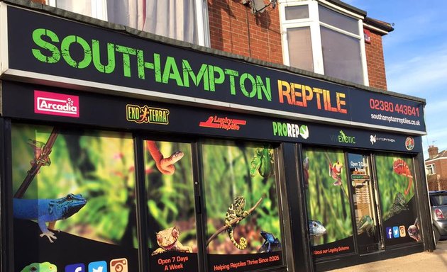 Photo of Southampton Reptile