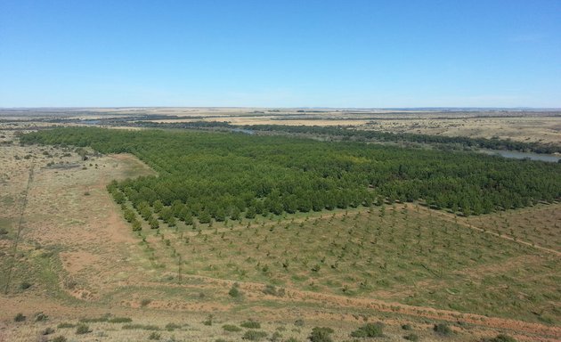 Photo of Food & Forest