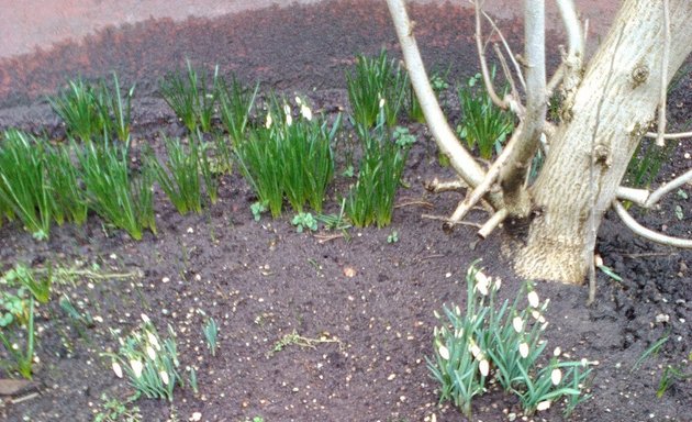 Foto von Martin Rohrbeck Garten- und Landschaftsbau