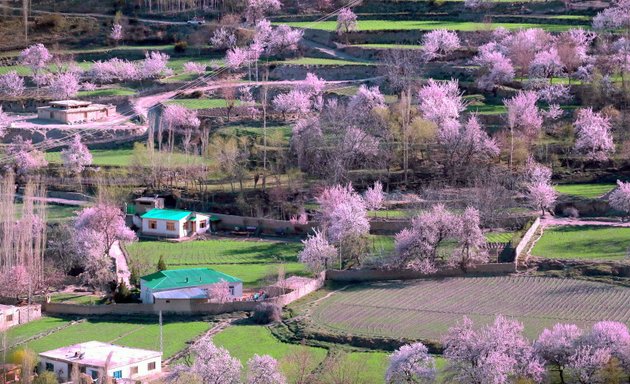 Photo of Grand Tours