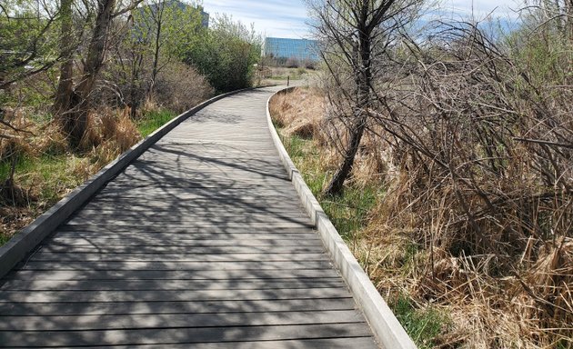 Photo of Goldsmith Gulch Trailhead