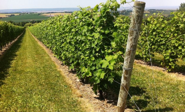 Photo of Grape Escapes Nova Scotia Wine Tours