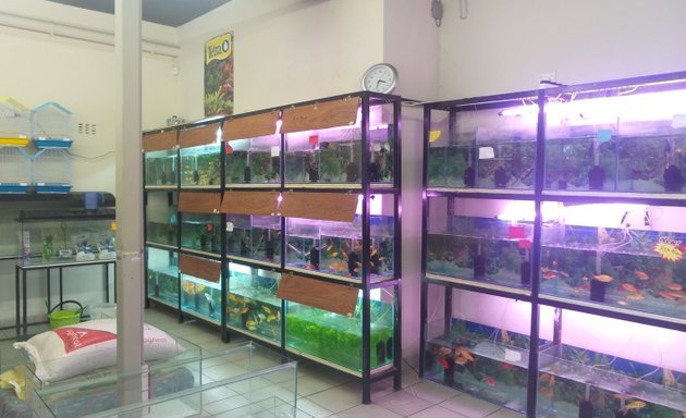 Photo of Thornton Pets & Aquatics