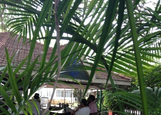 Photo of Umbrella Bar