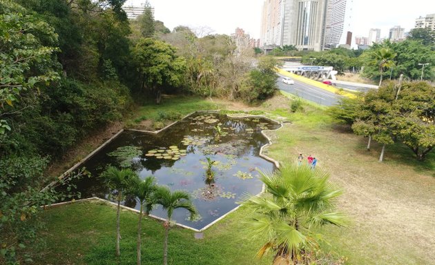 Foto de Laguna Venezuela