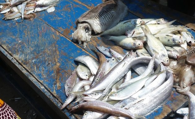 Photo of Jamestown beach Fresh Fish Market