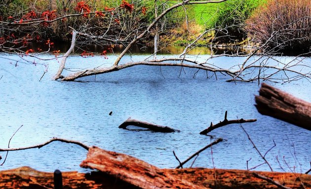 Photo of Ambassador's Pond