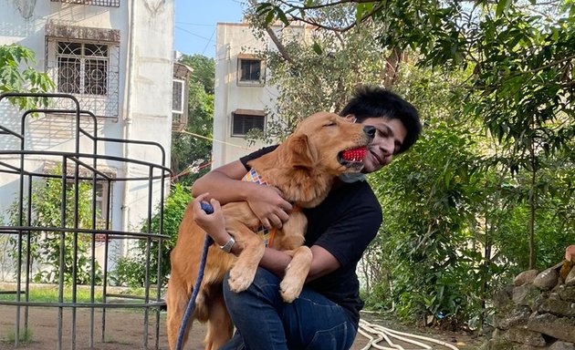 Photo of Rahul Dog Trainer
