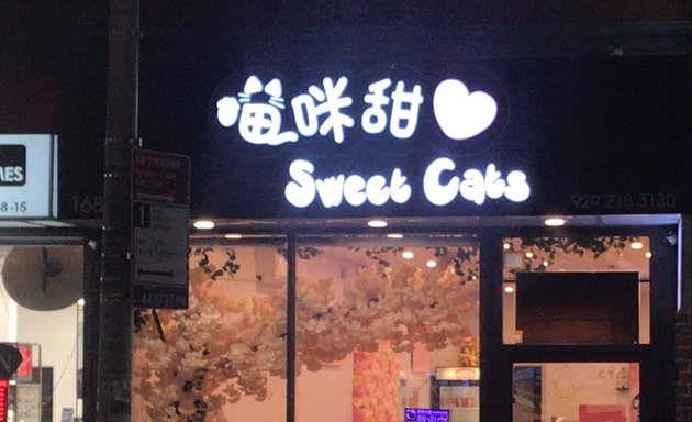 Photo of Sweet Cats Cafe