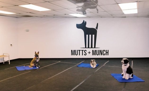 Photo of Mutts + Munch Training + Daycare