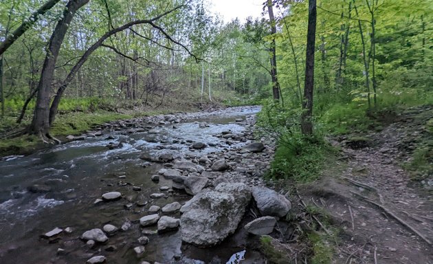 Photo of Parc Chabanel