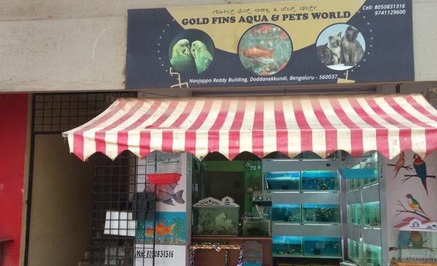 Photo of Gold Fins Aqua & Pets