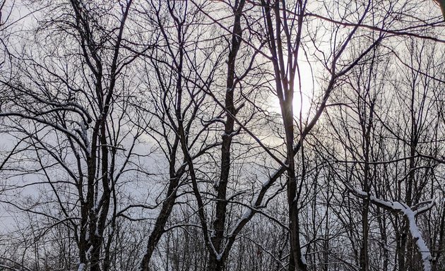 Photo of Sentier de la rivière du Cap Rouge