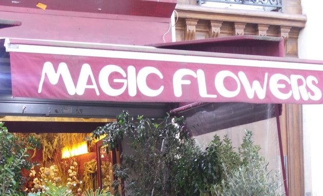 Photo de Magic flowers