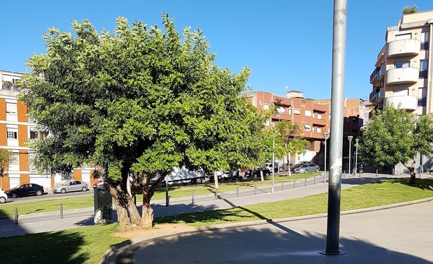 Foto de Plaza De Los Músicos