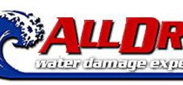 Photo of All Dry Water Damage Experts