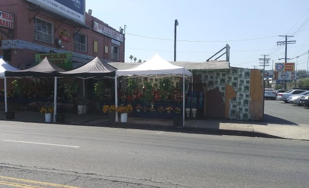 Photo of Hercules Market