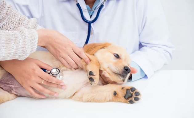 Photo of Kearny Mesa Veterinary Center