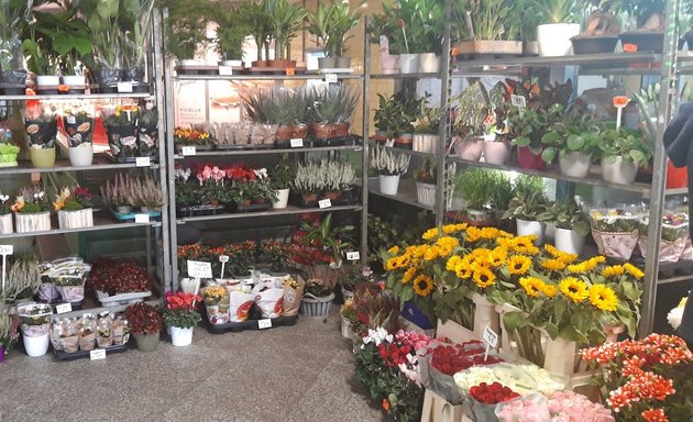 Foto von Blumenladen im S-Bahnhof Tempelhof