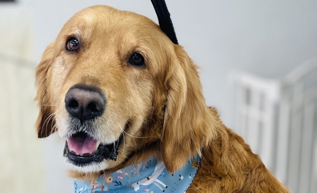 Photo of Fur Babies Grooming Salon & Spa