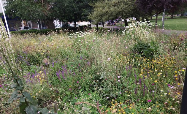 Photo of Chiswick Common