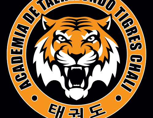 Foto de Academia de Taekwondo Tigres Chali