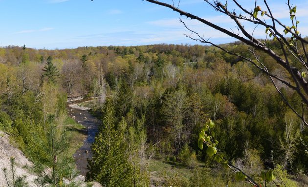 Photo of Rouge River lookout