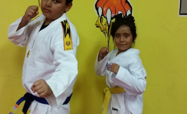 Photo of Rosales Golden Tigers Tkd Inc.