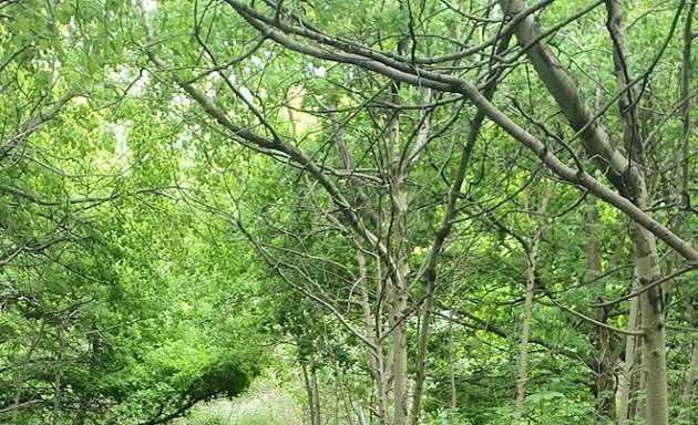 Photo of West Hendon Playing Field