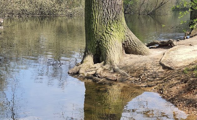 Photo of Hollow Ponds Row Boat Hire