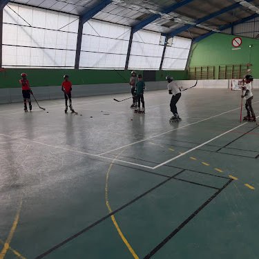 Photo de Ligue Nouvelle Aquitaine de Roller Sports