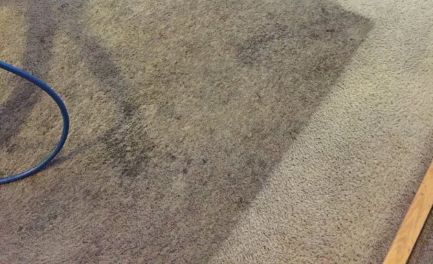 Photo of Quality Carpet and Tile Cleaning