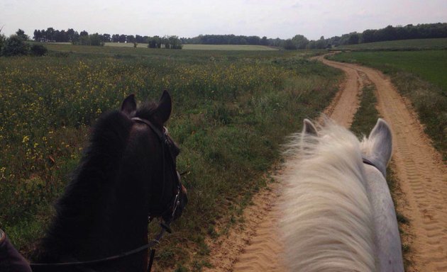 Photo of GoHorseRiding