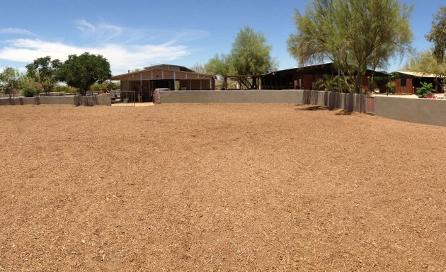 Photo of Desert Palms Equestrian Center