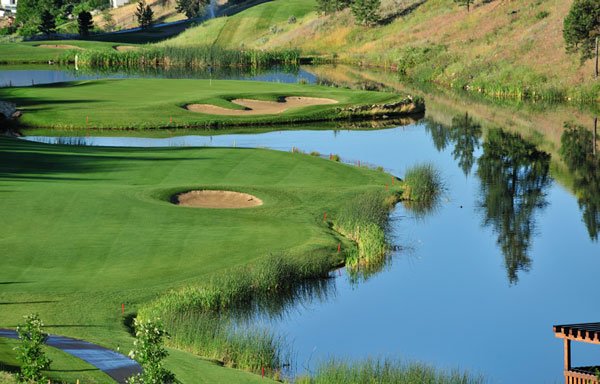 Photo of Black Mountain Golf Club