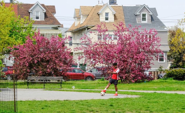 Photo of Amersfort Park