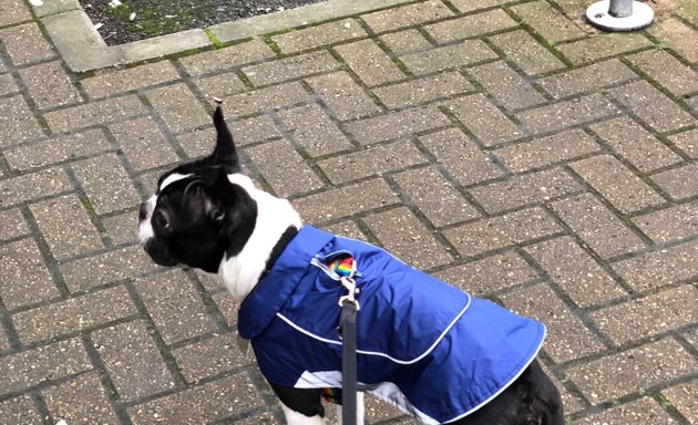 Photo of Pets at Home Battersea