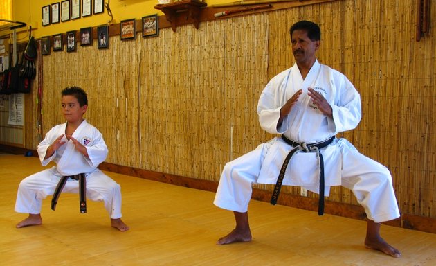 Photo of Goju Ryu Karatedo Seiwa Kai USA