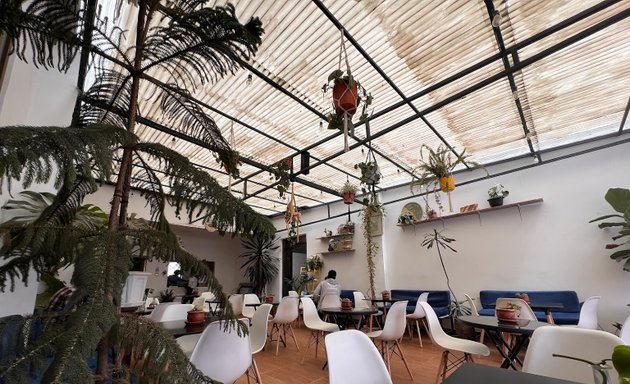 Photo of Selah Botanical Café and Eatery