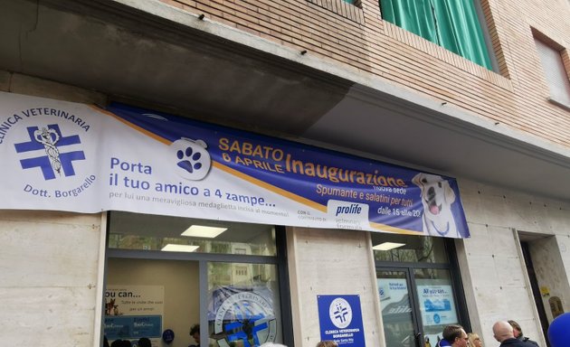 foto Ambulatorio Veterinario Santa Rita