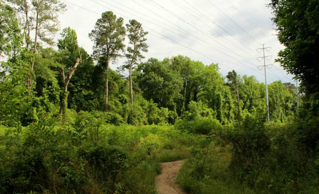 Photo of Morningside Nature Preserve