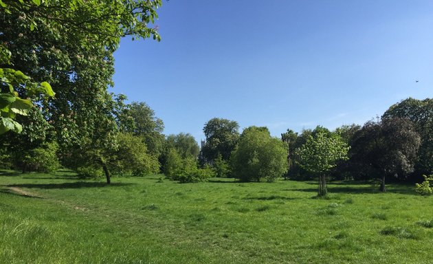 Photo of Long meadow Playground