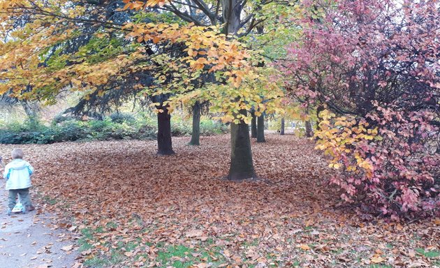Photo of Clifton Flower Park